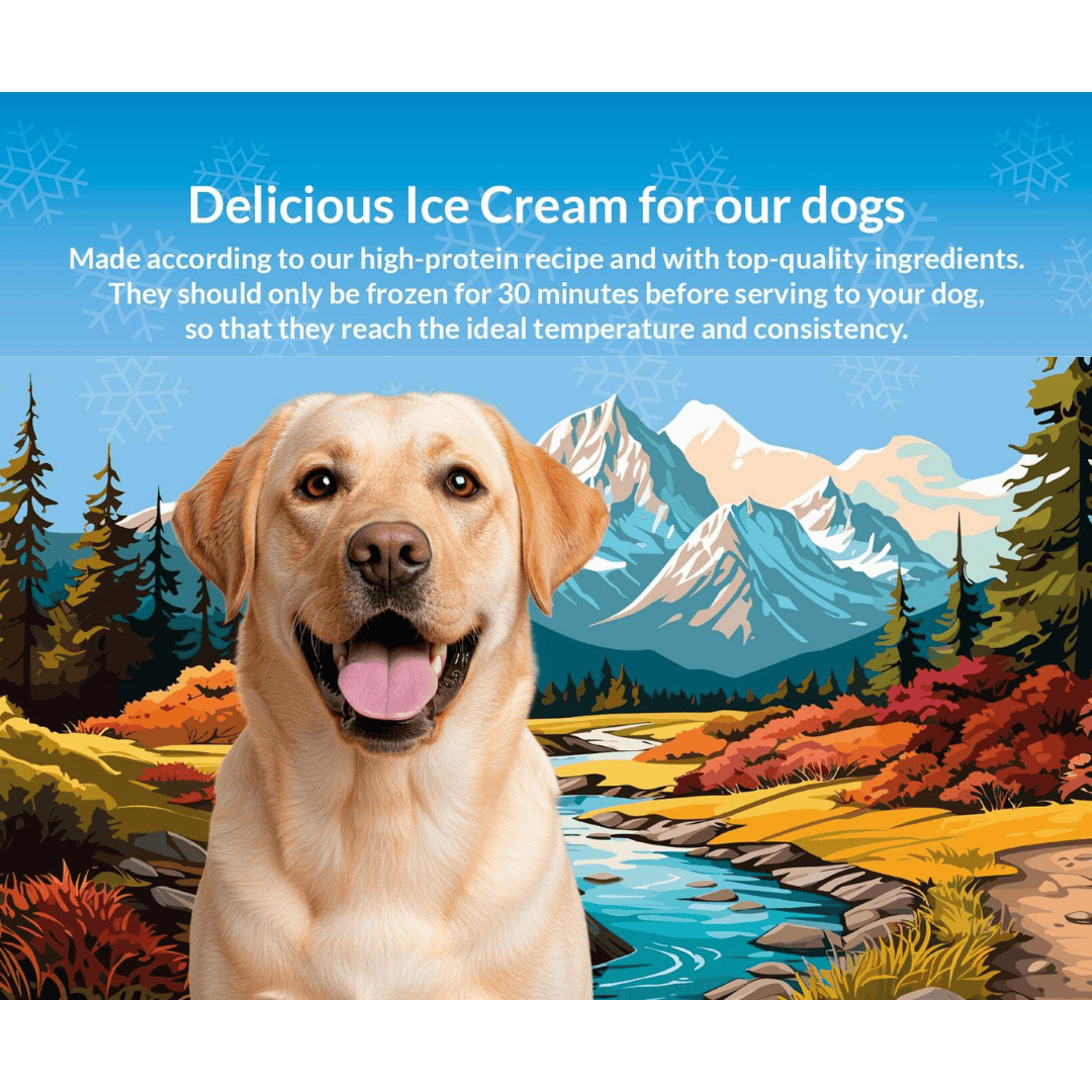 Ice Cream Bar for Dogs