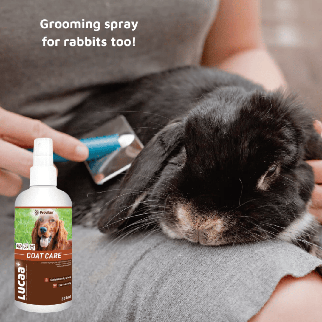 Natural Coat Care Spray |Provilan Lucaa+