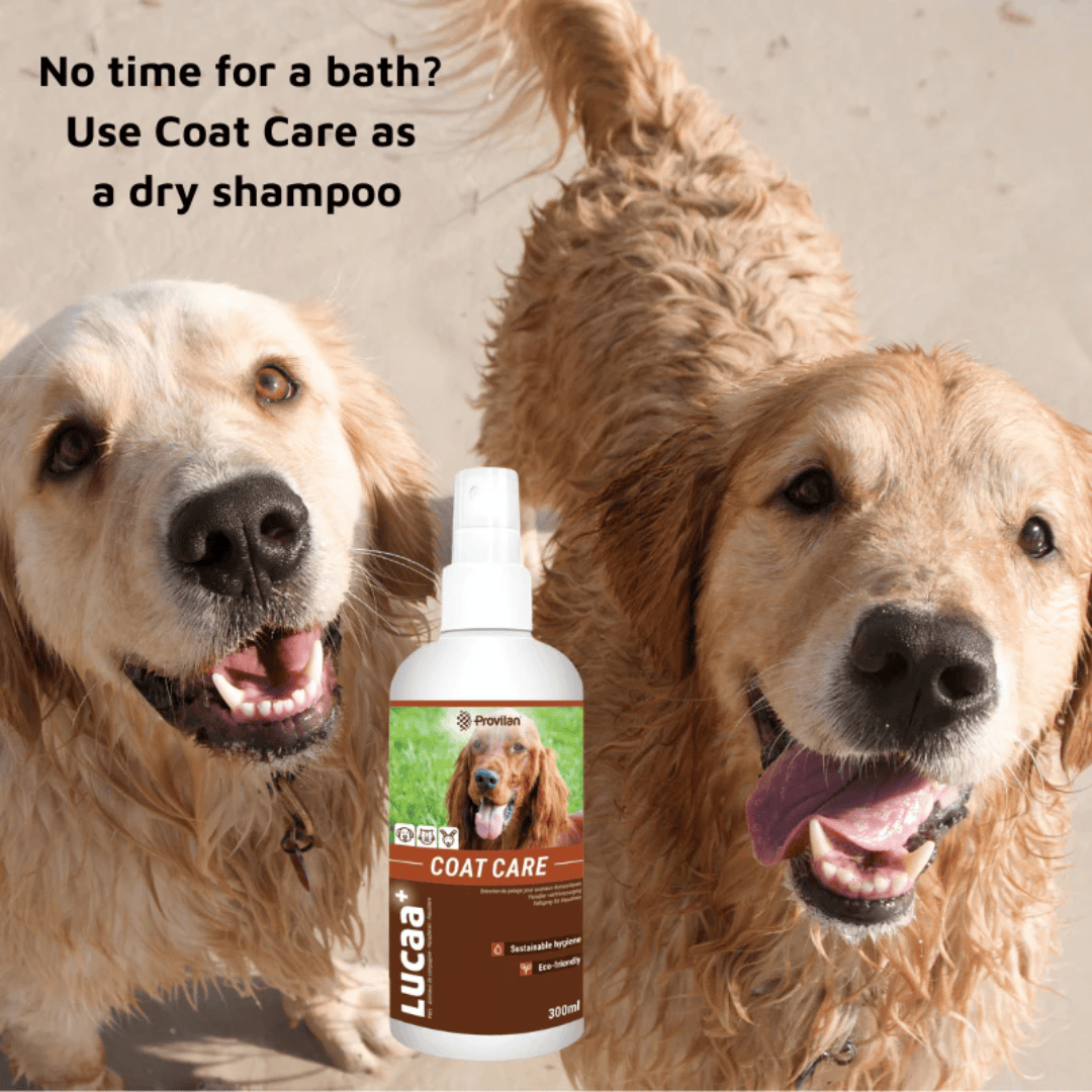 Natural Coat Care Spray |Provilan Lucaa+