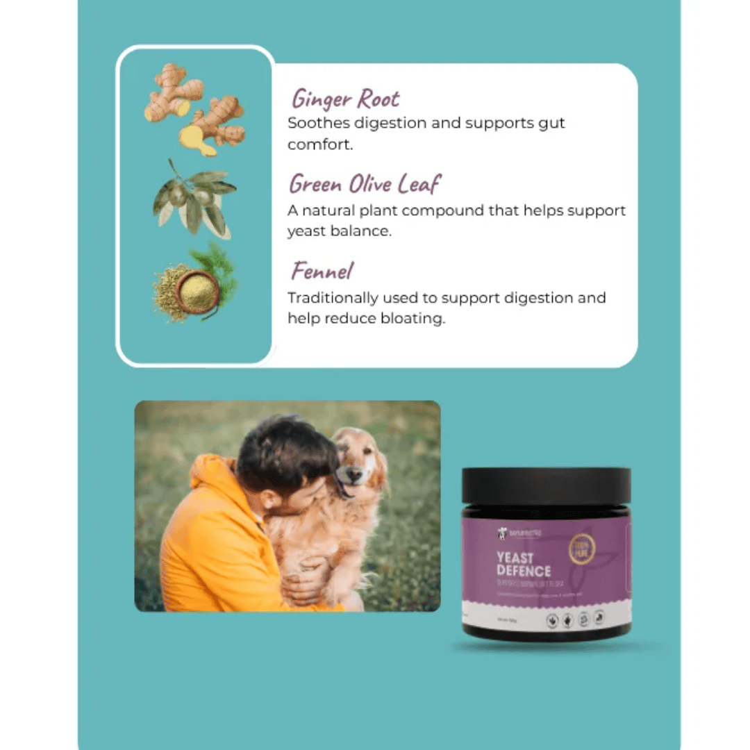 Barkin Bistro Supplements - Yeast Defence 150g