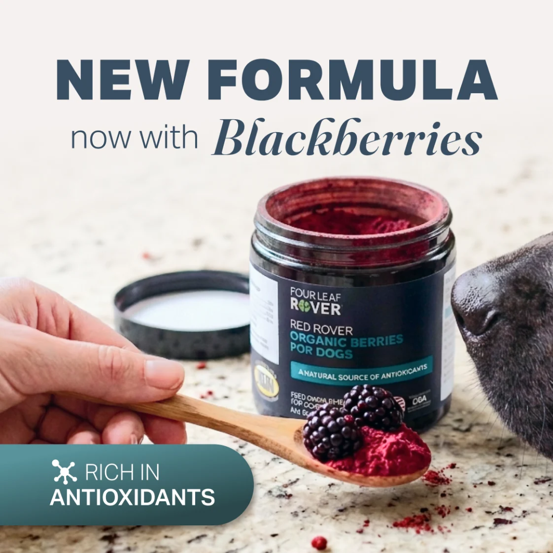 Four Leaf Rover - Red Rover - Organic Berry Blend