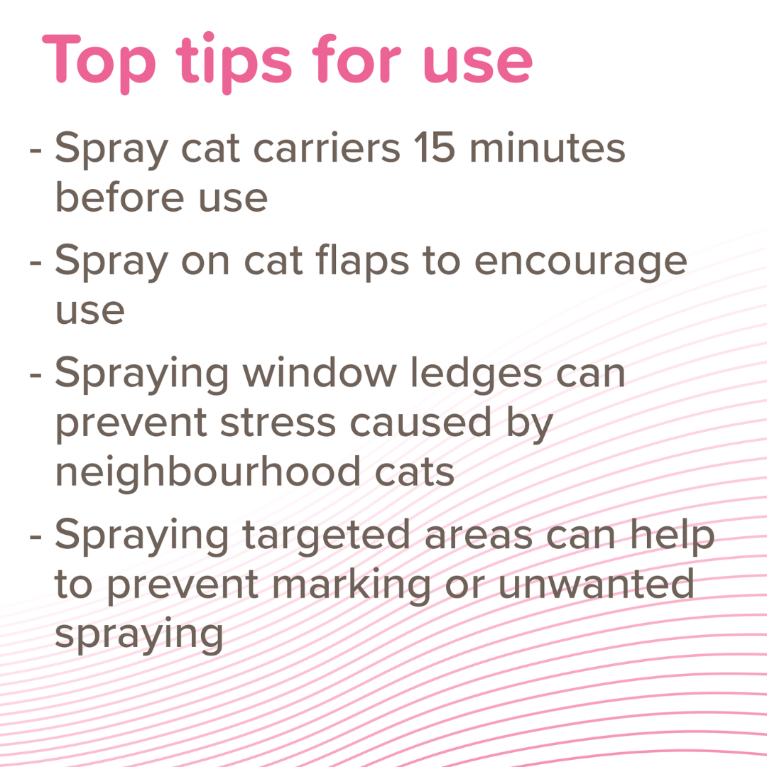 Top Tips for using the CatComfort Spray for cats