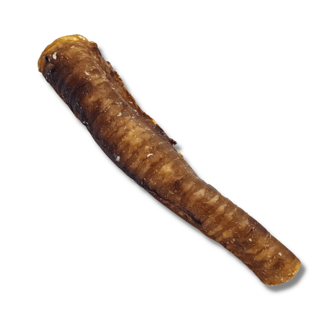 Whole Beef Tube | Trachea