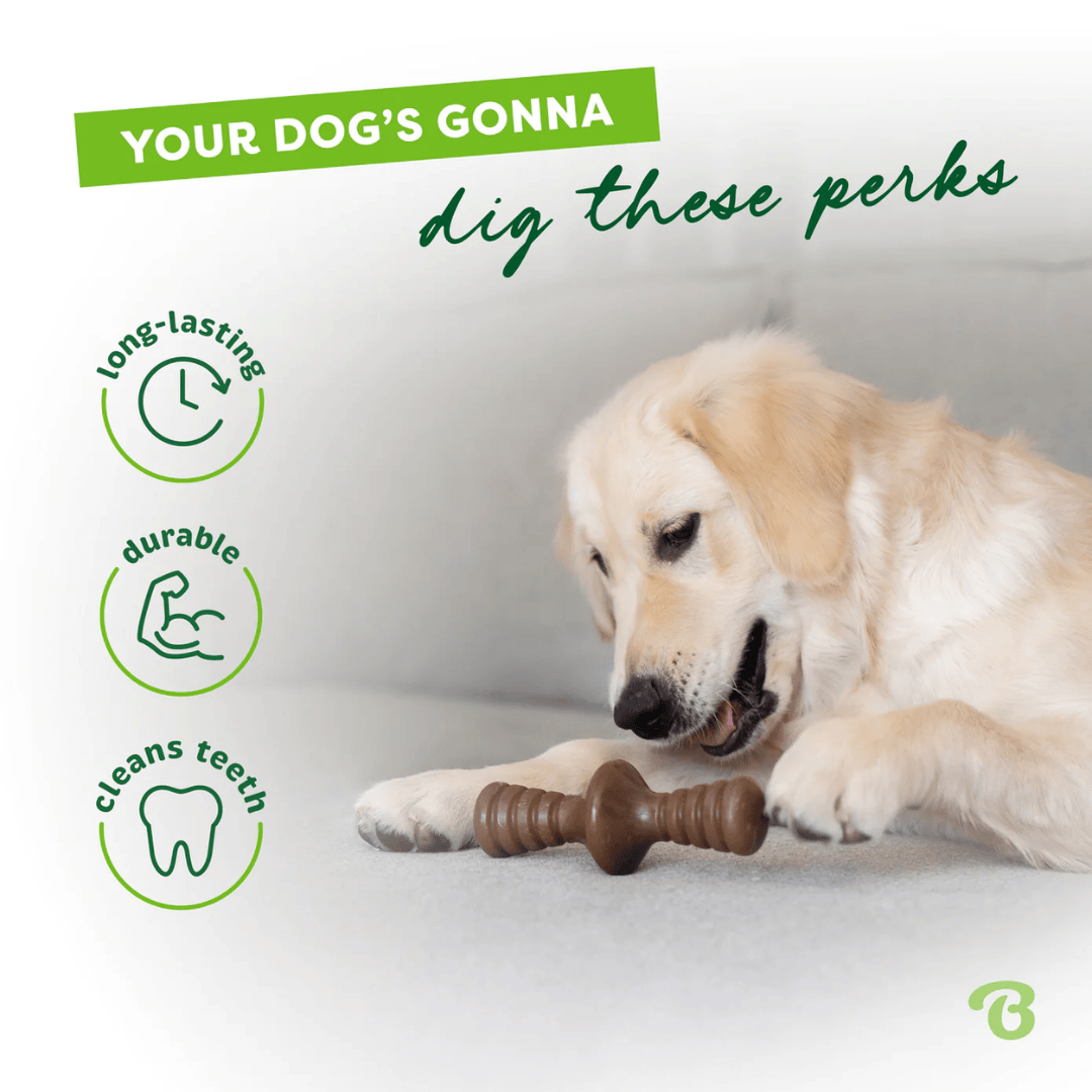 Benebone Zaggler Bacon Dog Toy