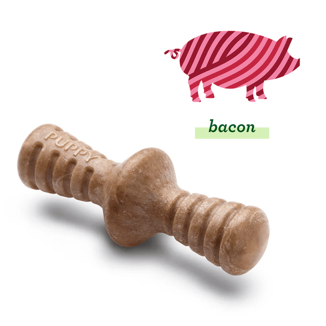 Benebone Maple Wood & Bacon Puppy 2pk