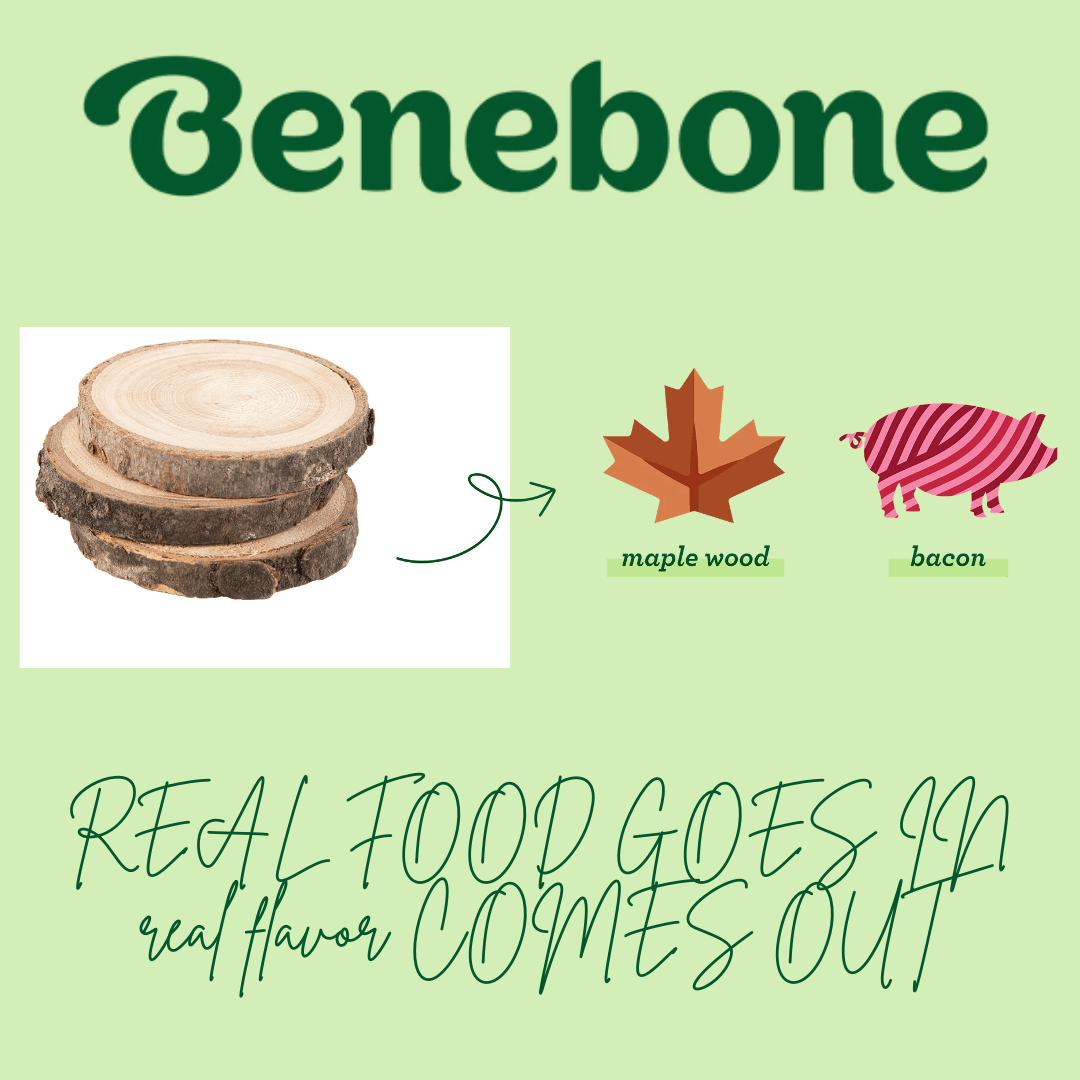 Benebone Maple Wood & Bacon Puppy 2pk
