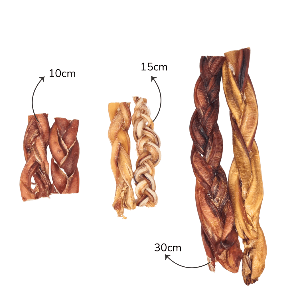 Bull Pizzle Plaits in 3 sizes with measurements 10, 15 and 30cm