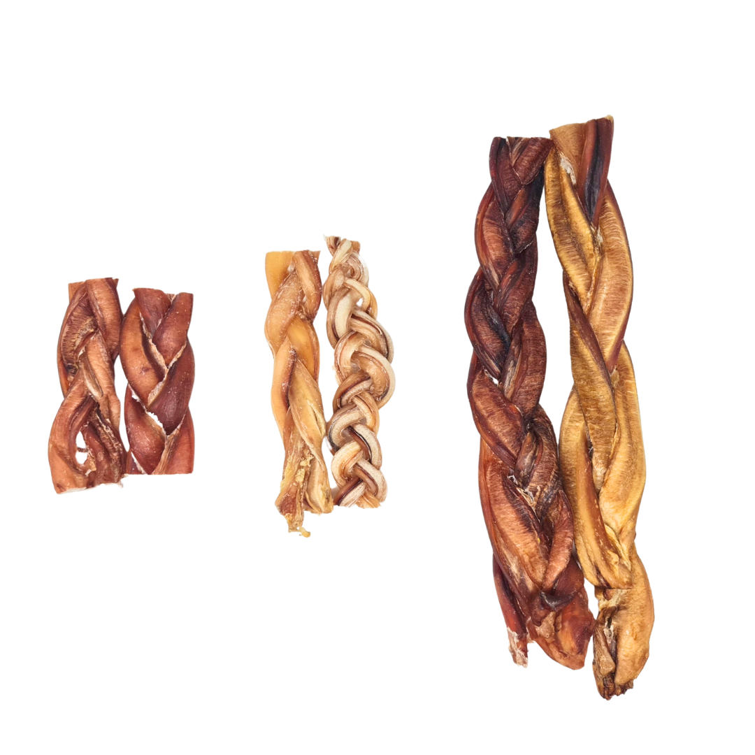 Bull Pizzle Plait