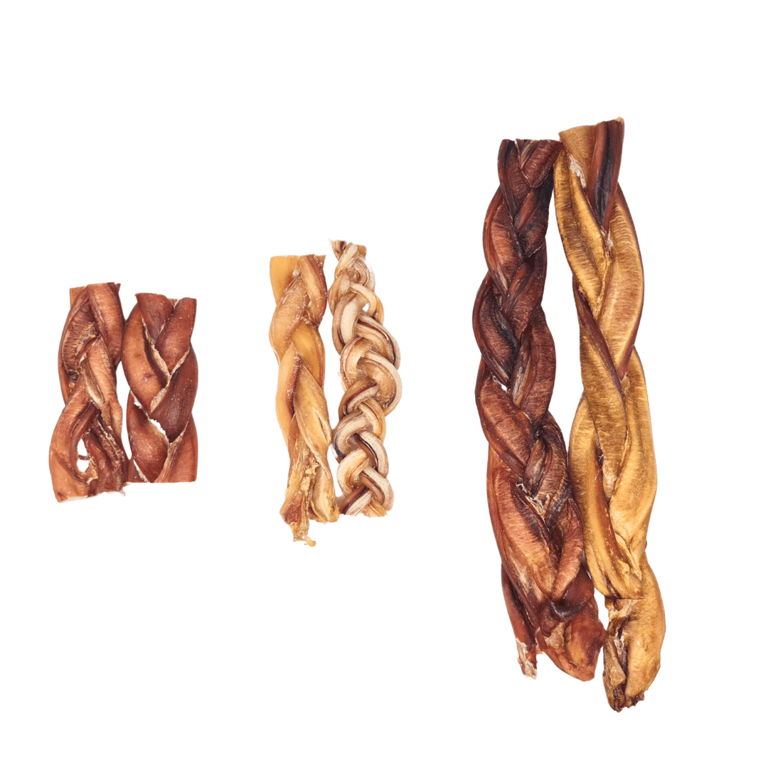 3 bull pizzle plait sizes n a white background. Two pizzles per length