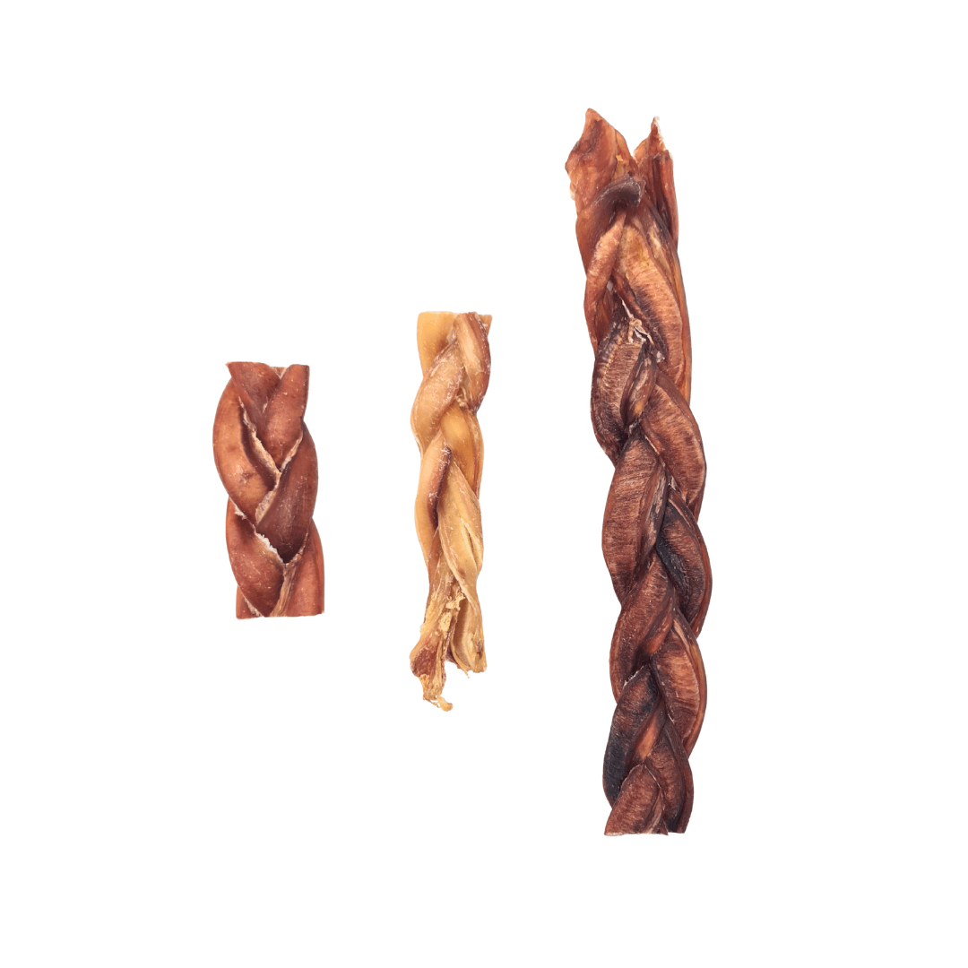 Bull Pizzle Plaits in 3 sizes