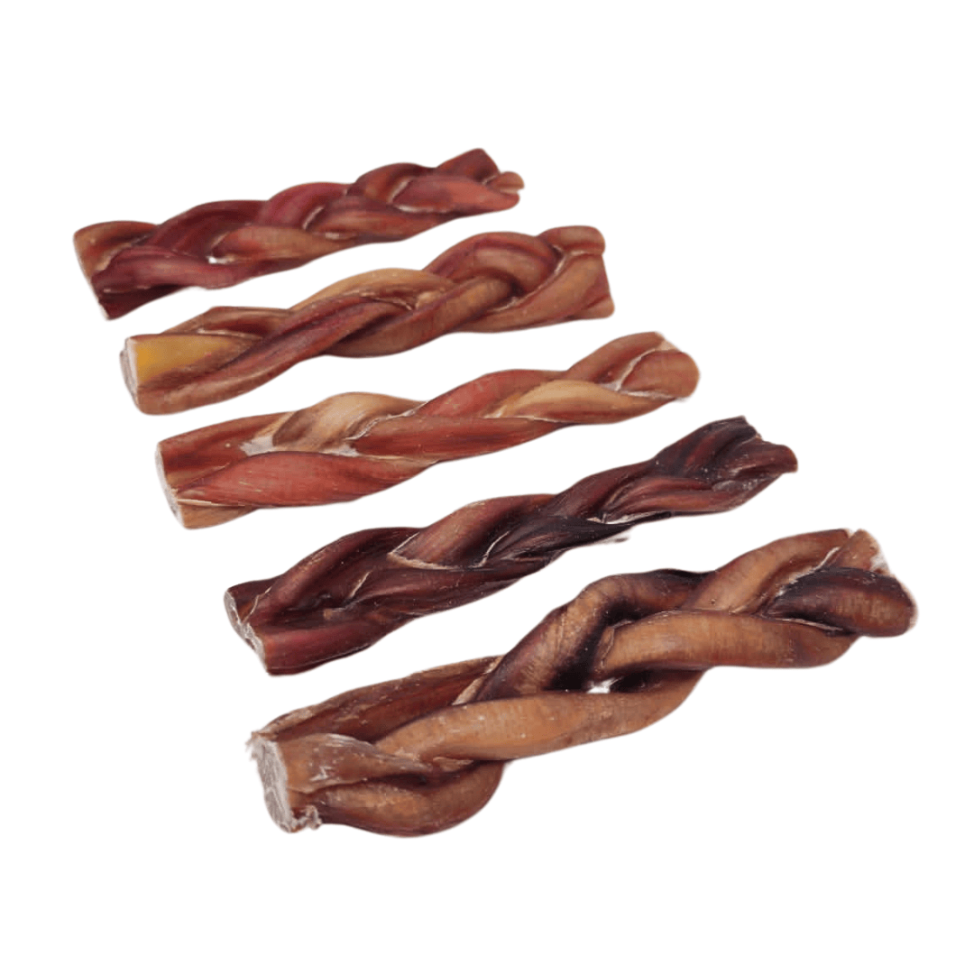 Bull Pizzle Plait