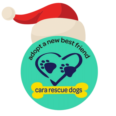 Cara Rescue Dogs Christmas Cards - 10 Pack