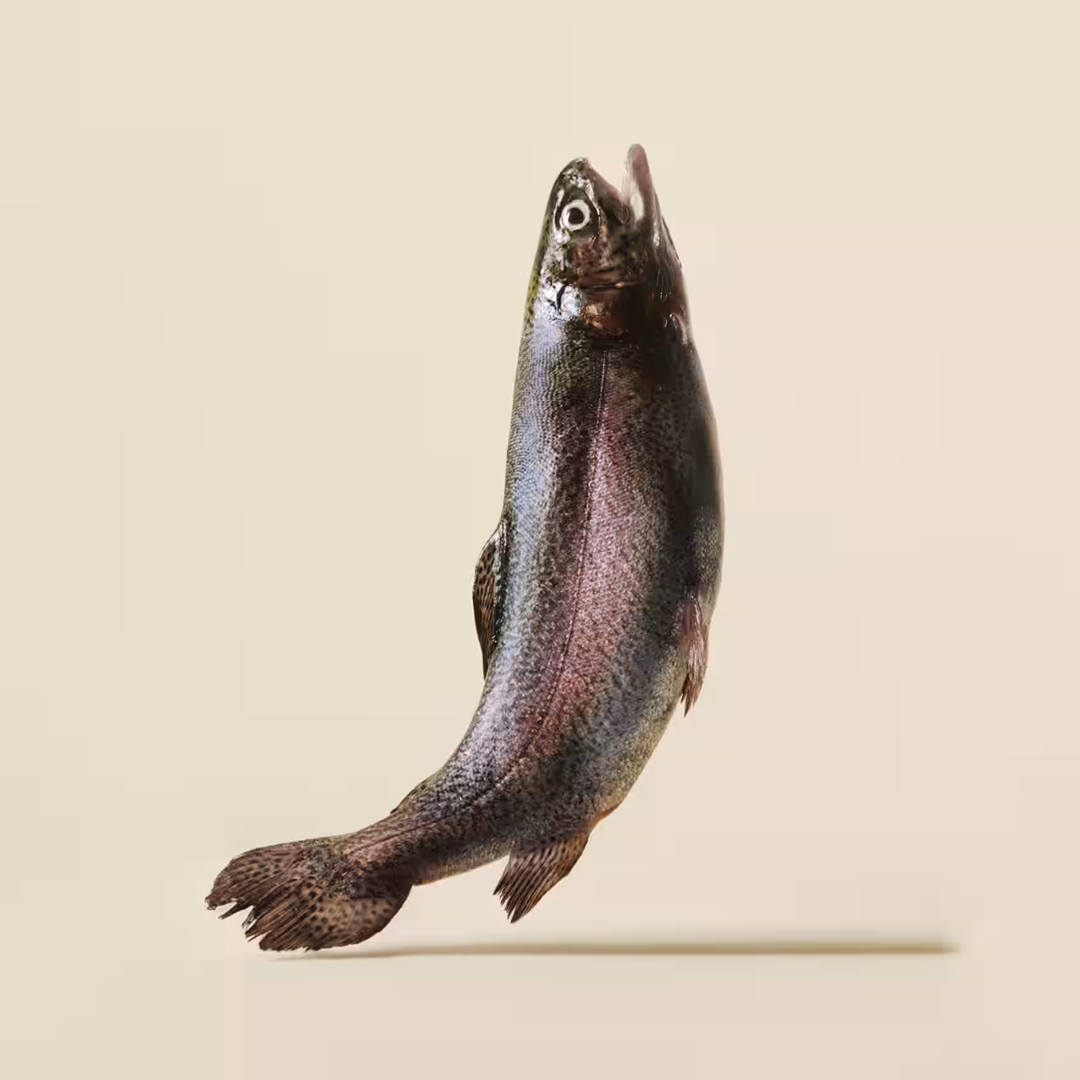 Carnilove Soft Snack Trout and Dill