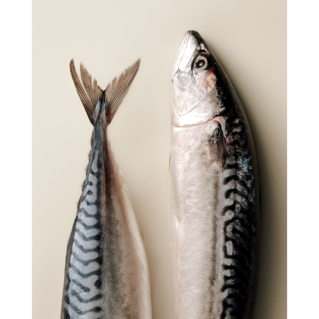 Carnilove Mackerel with Raspberries Treats