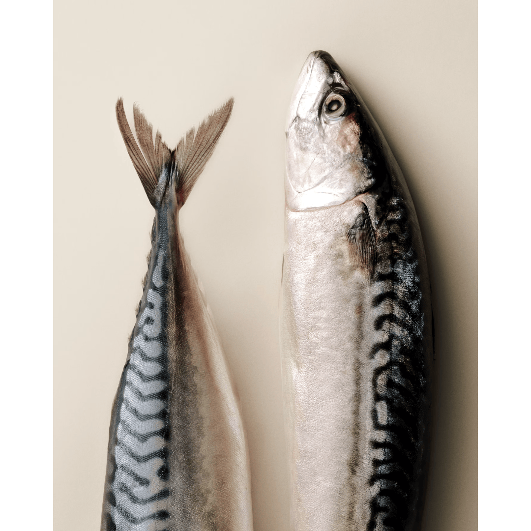 Carnilove Mackerel with Raspberries Treats