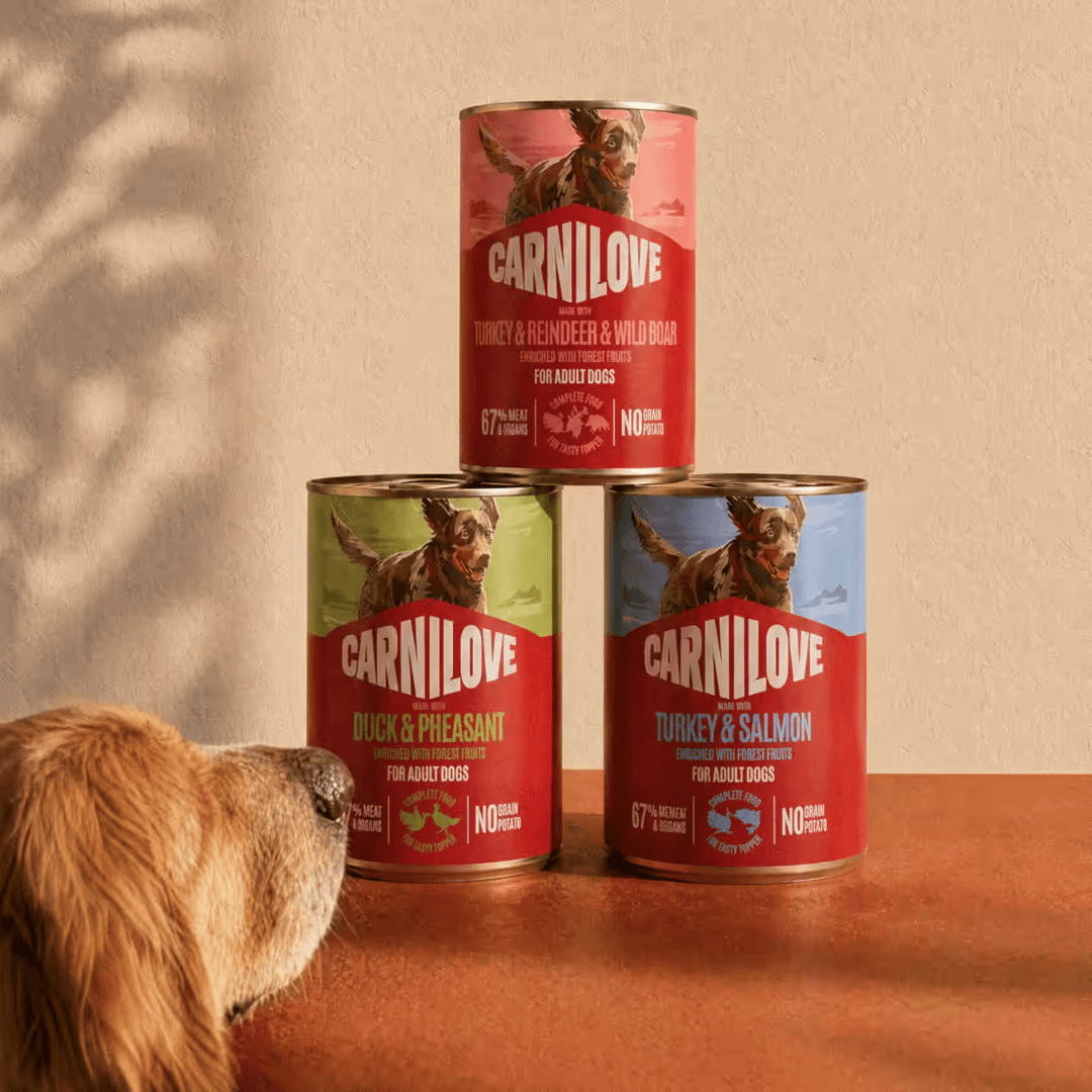 Carnilove Salmon & Turkey Tin
