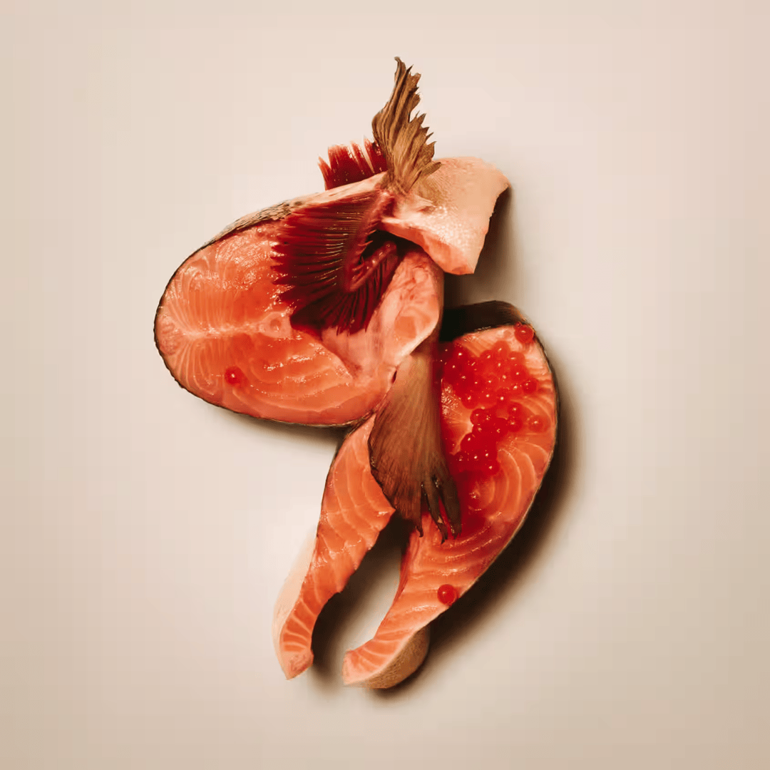 Carnilove Salmon & Turkey Freeze-Dried Raw Dog Treats