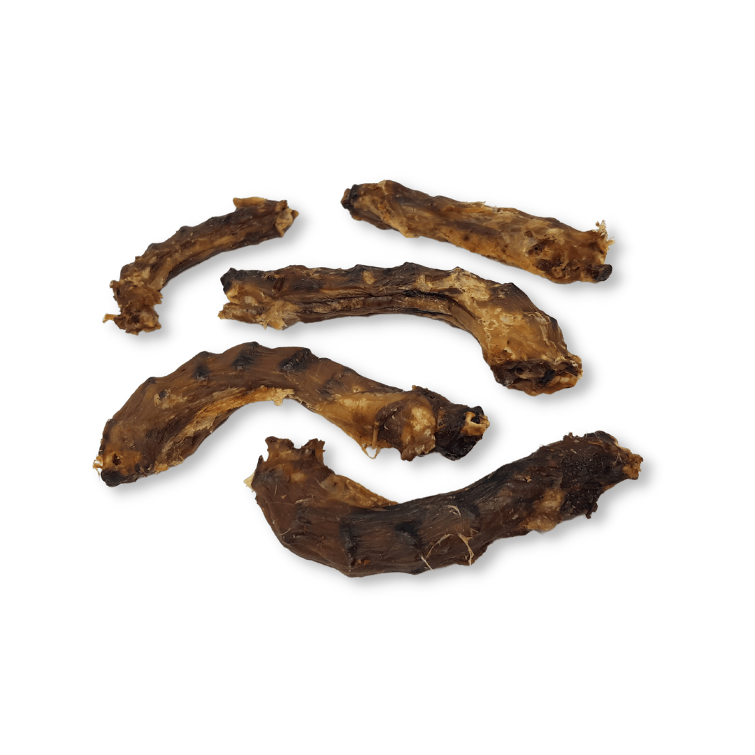 Five dried dog chew treats - chicken necks - on a white background