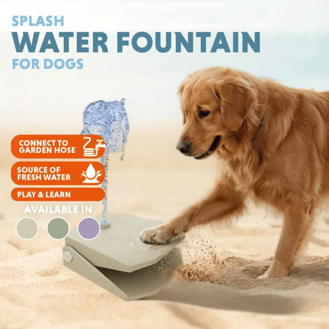 Cool Pets Splash Water Fountain