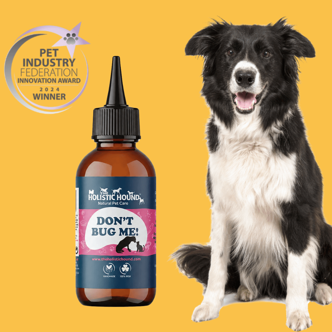 Dog next to a bottle of 'Don't Bug Me!' product with a yellow background