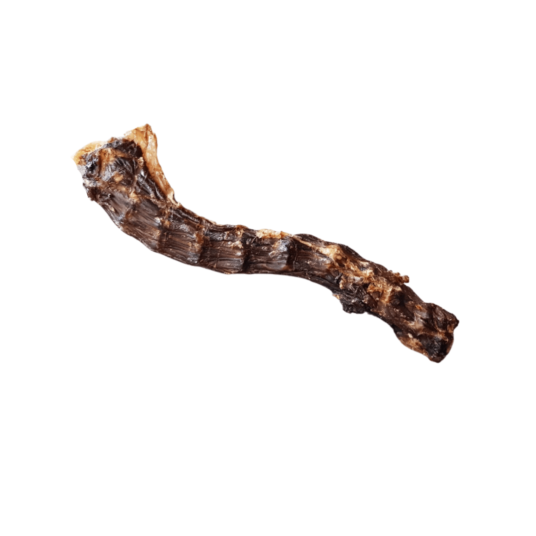 Dried Duck crunch/ duck neck treat on a white background