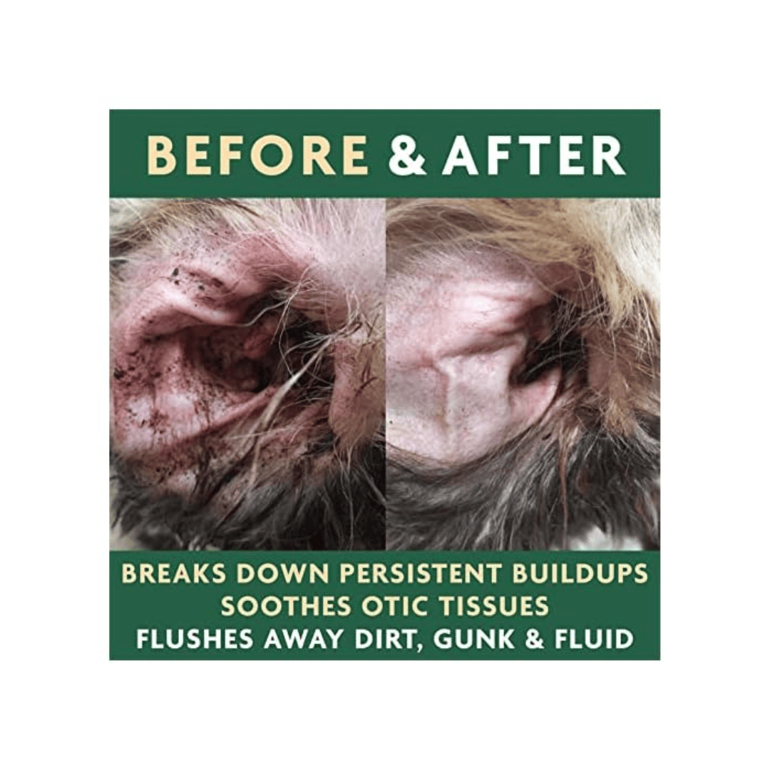 Before and after comparison of a dog's ear with text describing product benefits.