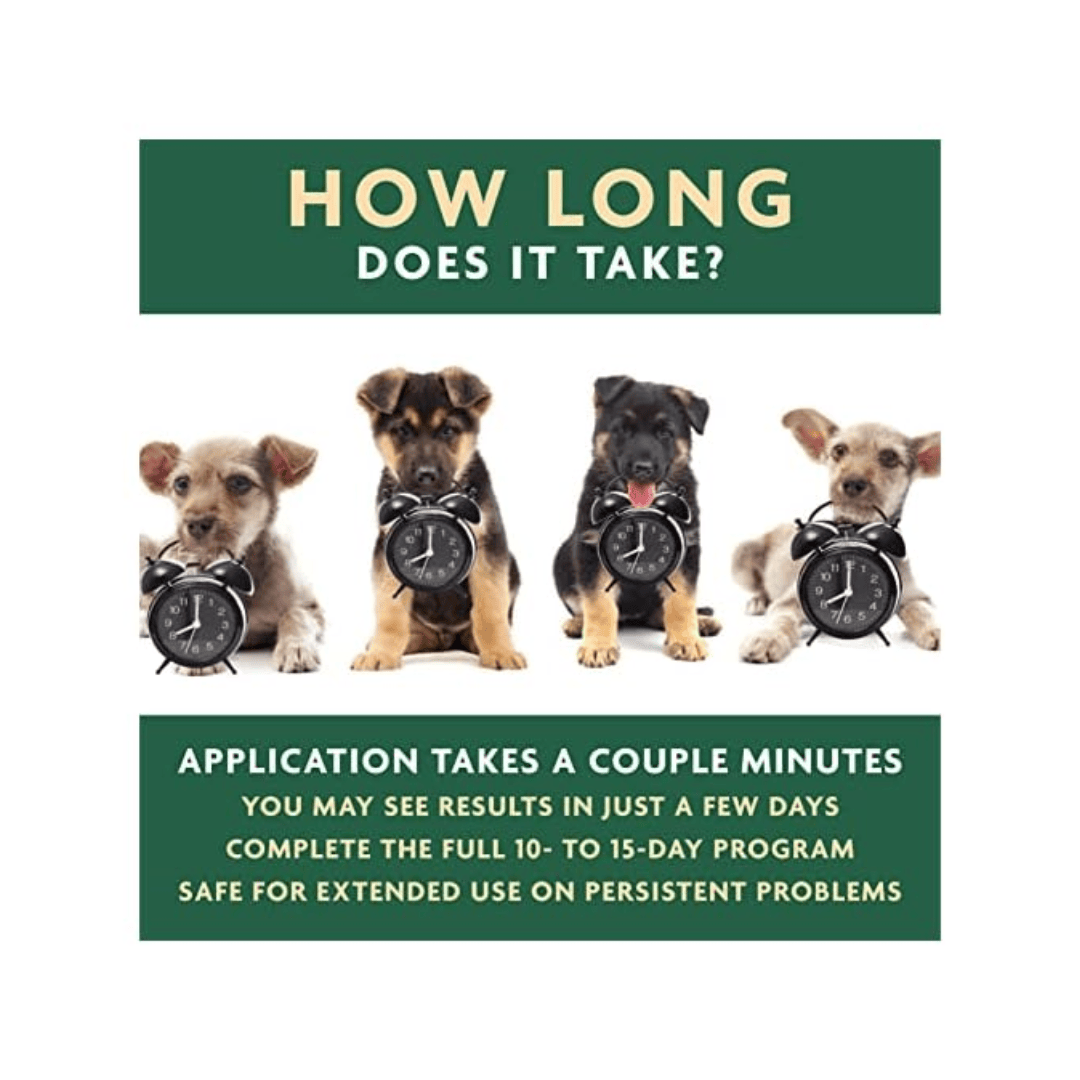 An explanation of how long the EcoEars application process takes. There are pictures of dogs with clocks too.