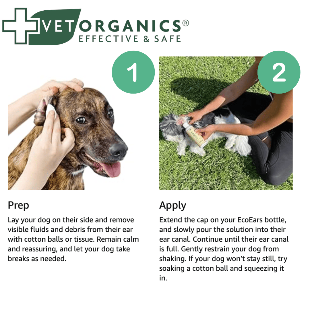 Steps 1 and 2 of the EcoEars user guidelines.