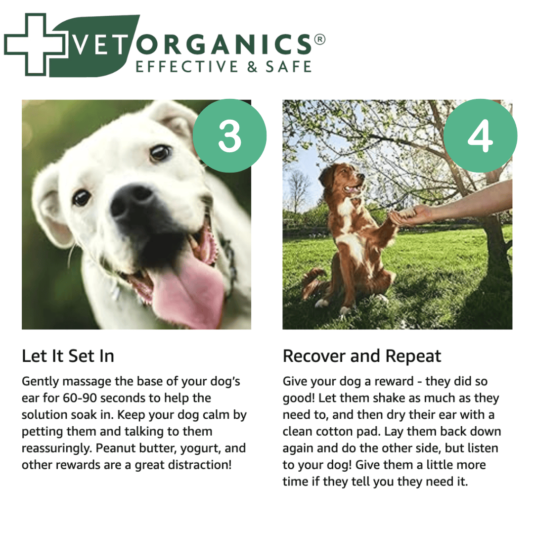 Steps 3 and 4 of the EcoEars user guidelines.
