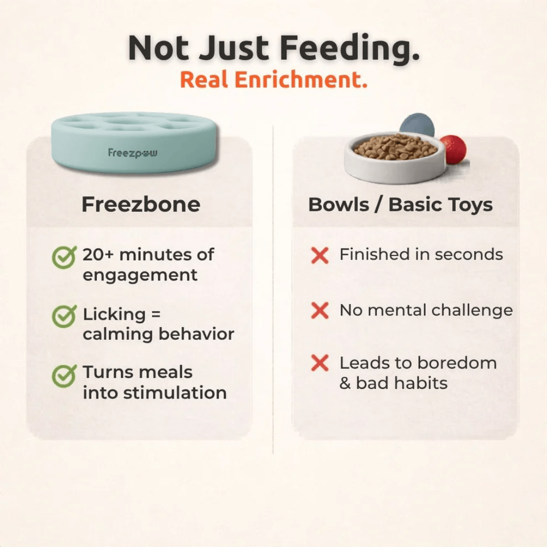 FreezSpin Enrichment Toy For Pets