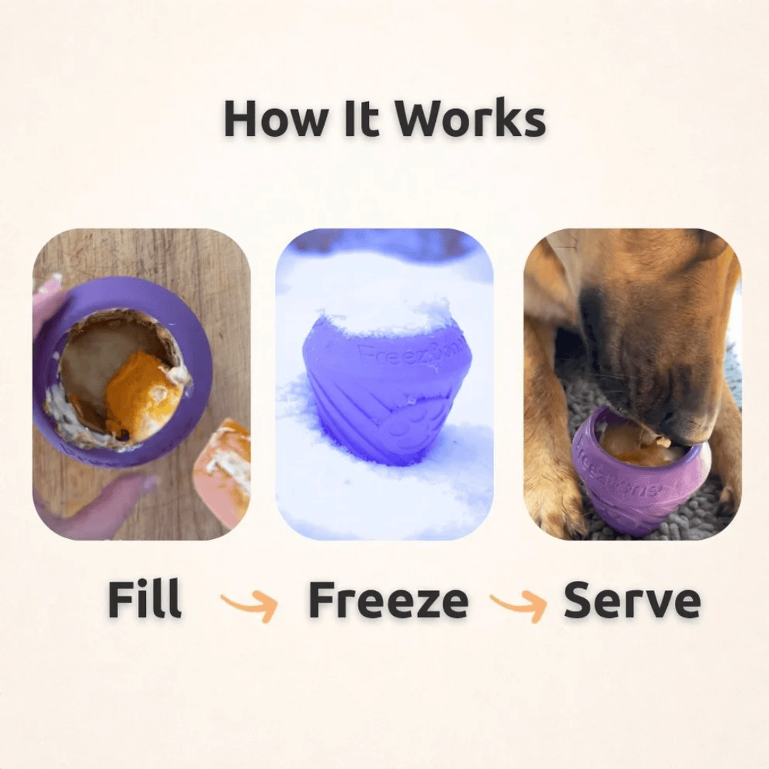Instructions on how to use a pet FreezCone with images of filling, freezing, and serving.