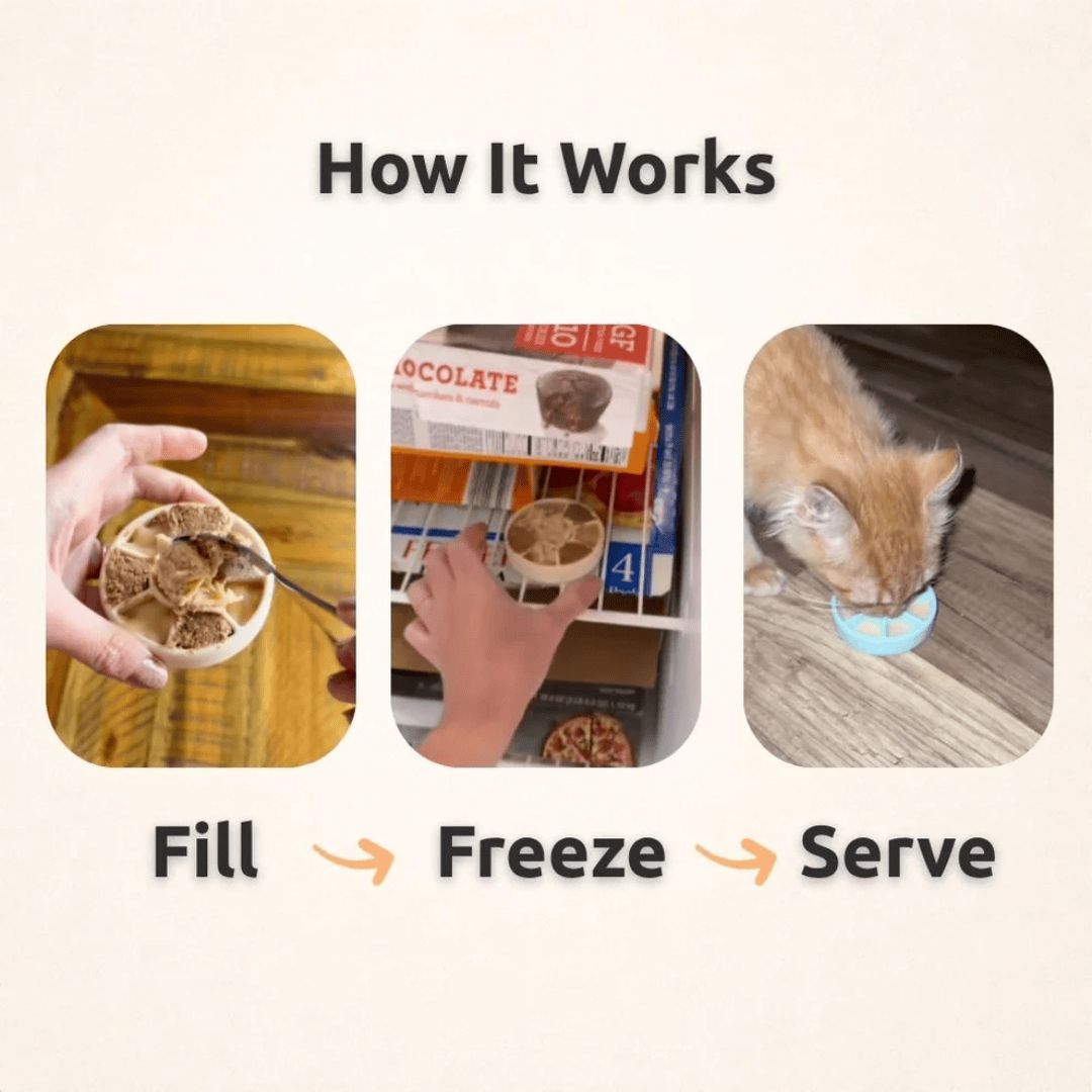 Step-by-step guide on how to use a FreezSpin enrichment toy with images of filling, freezing, and serving.