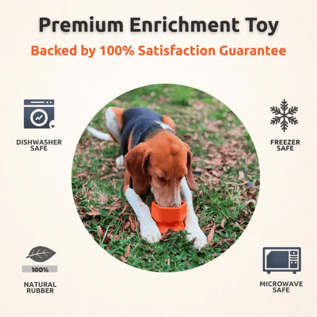 Dog playing with a FreezCup outdoors, surrounded by icons indicating safety features and a satisfaction guarantee.