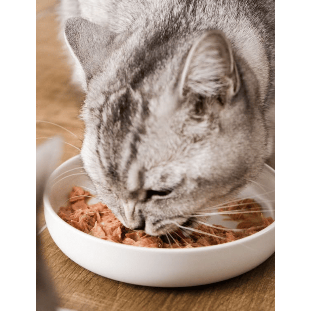 Grandorf Chicken Breast Wet Food for Cats