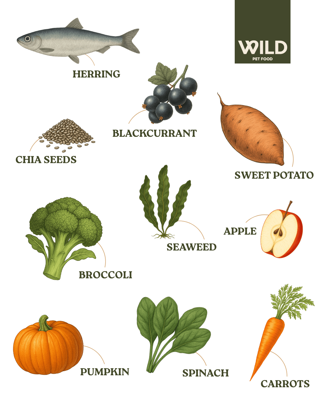 Wild 80:20 Herring Cold Pressed Dog Food
