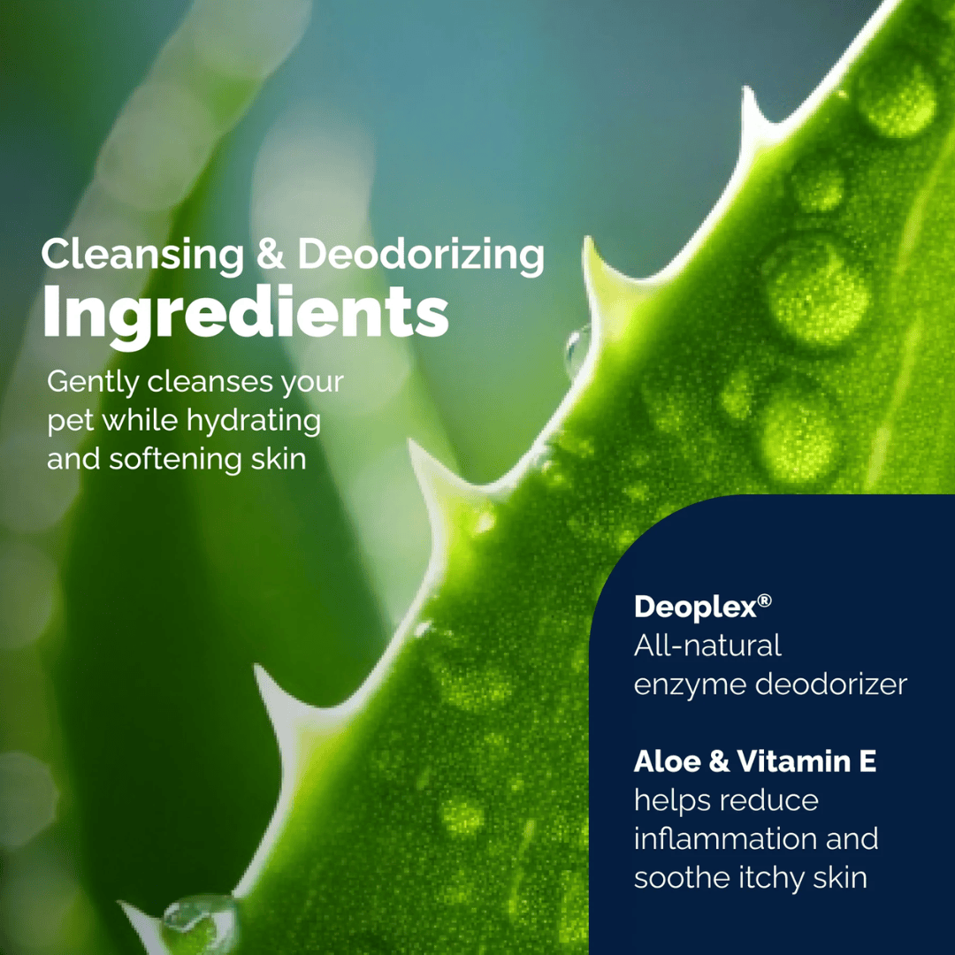 Glandex Anal Gland Hygienic Pet Wipes
