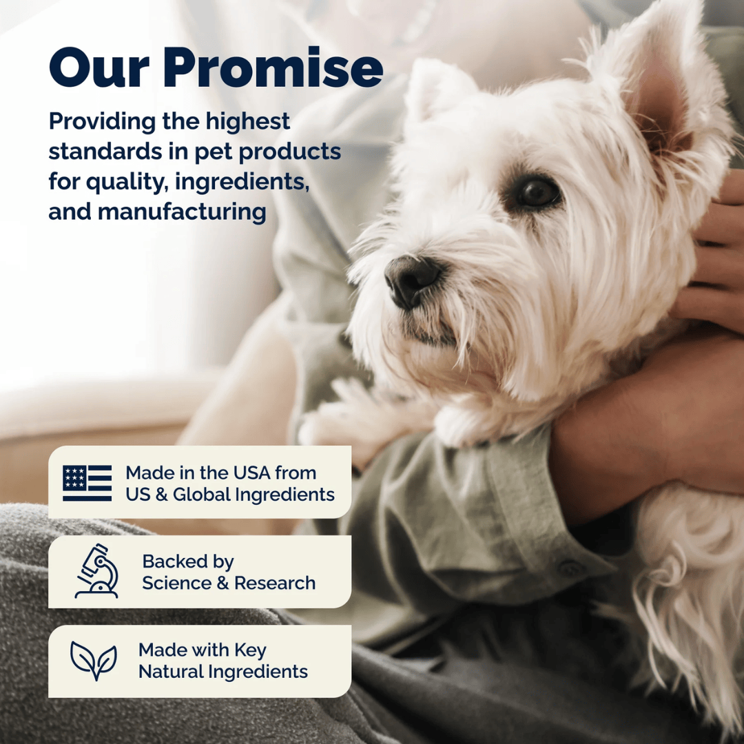 Glandex Anal Gland Hygienic Pet Wipes