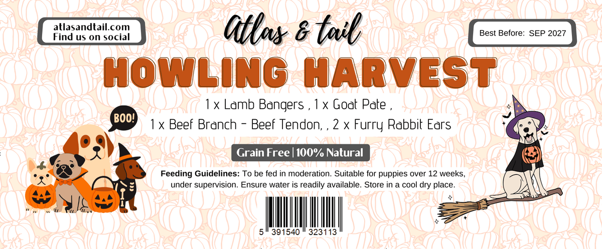Howling Harvest Treat Box
