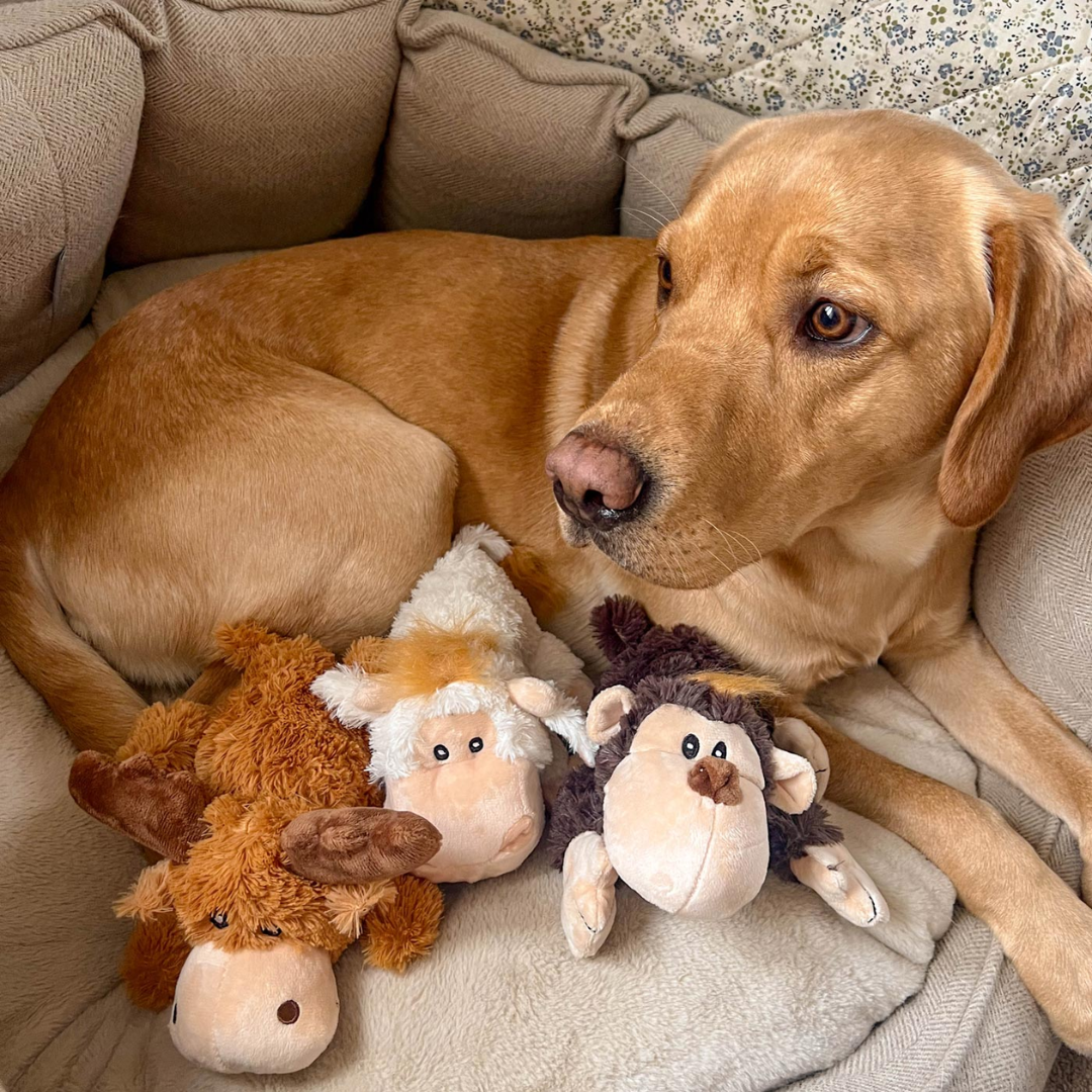 Kong Cozies Natural Dog Toy
