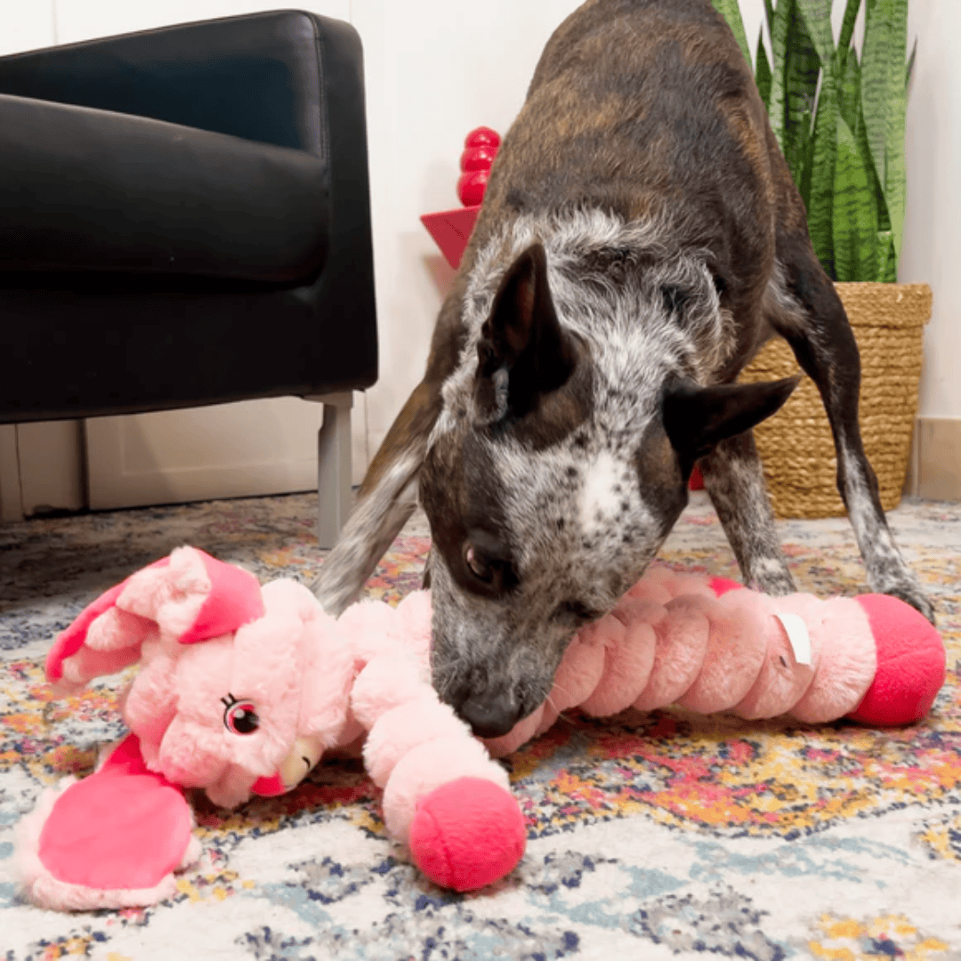 Kong Shakers Crumples Bunny XL