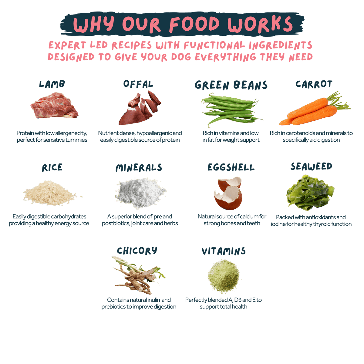 Wilsons Luscious Lamb Fresh Dog Food