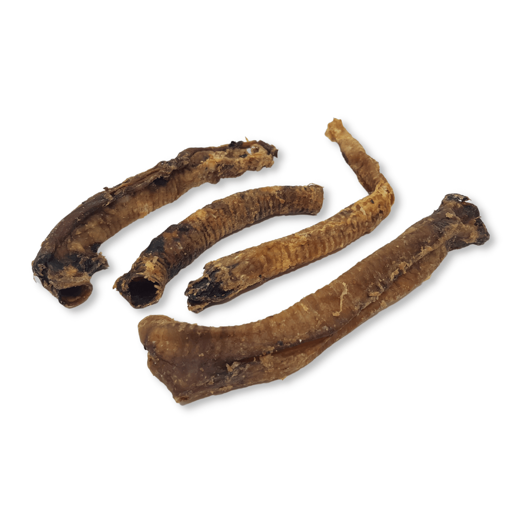 Dried lamb trachea of various sizes on a white background