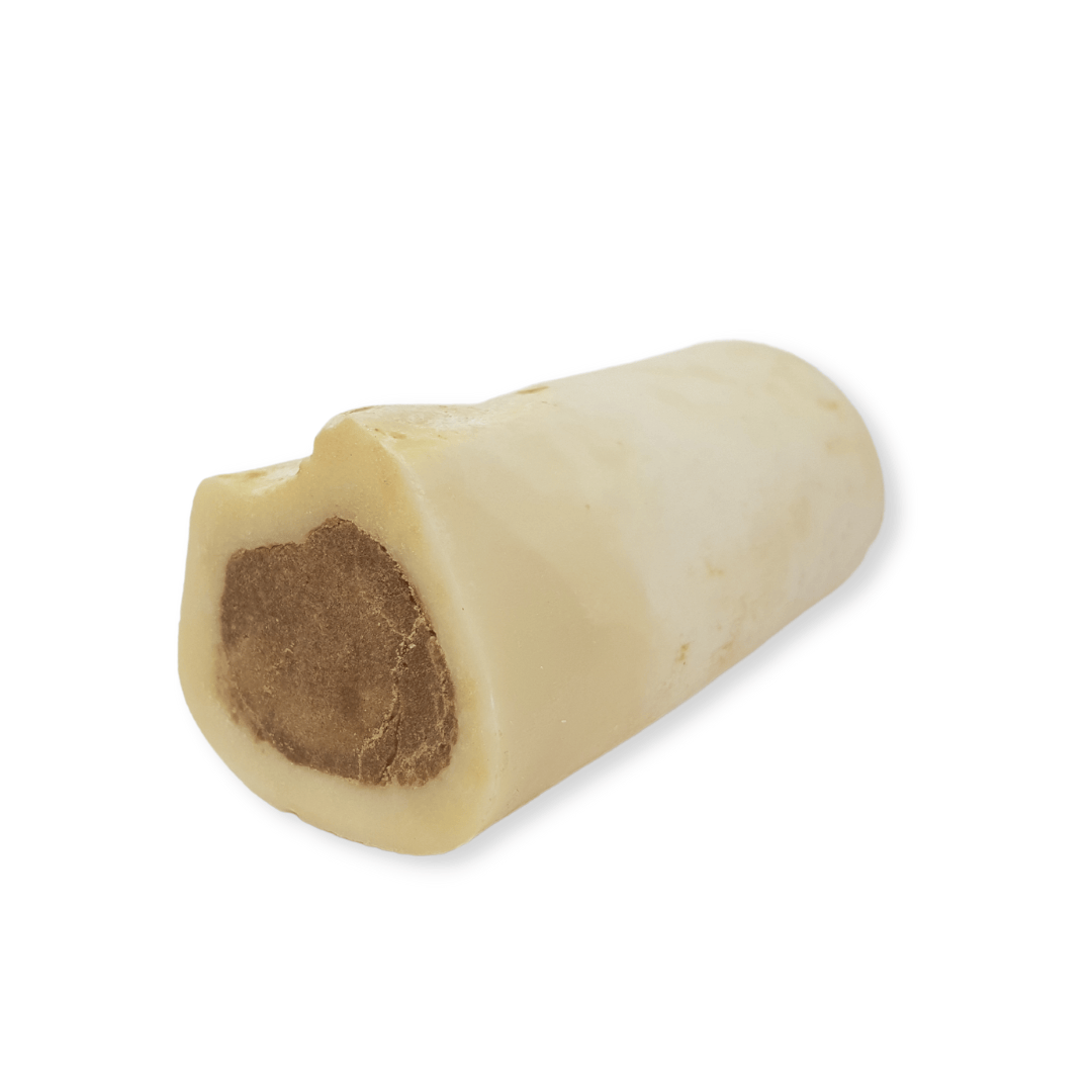 Beef marrow bone, on a white background