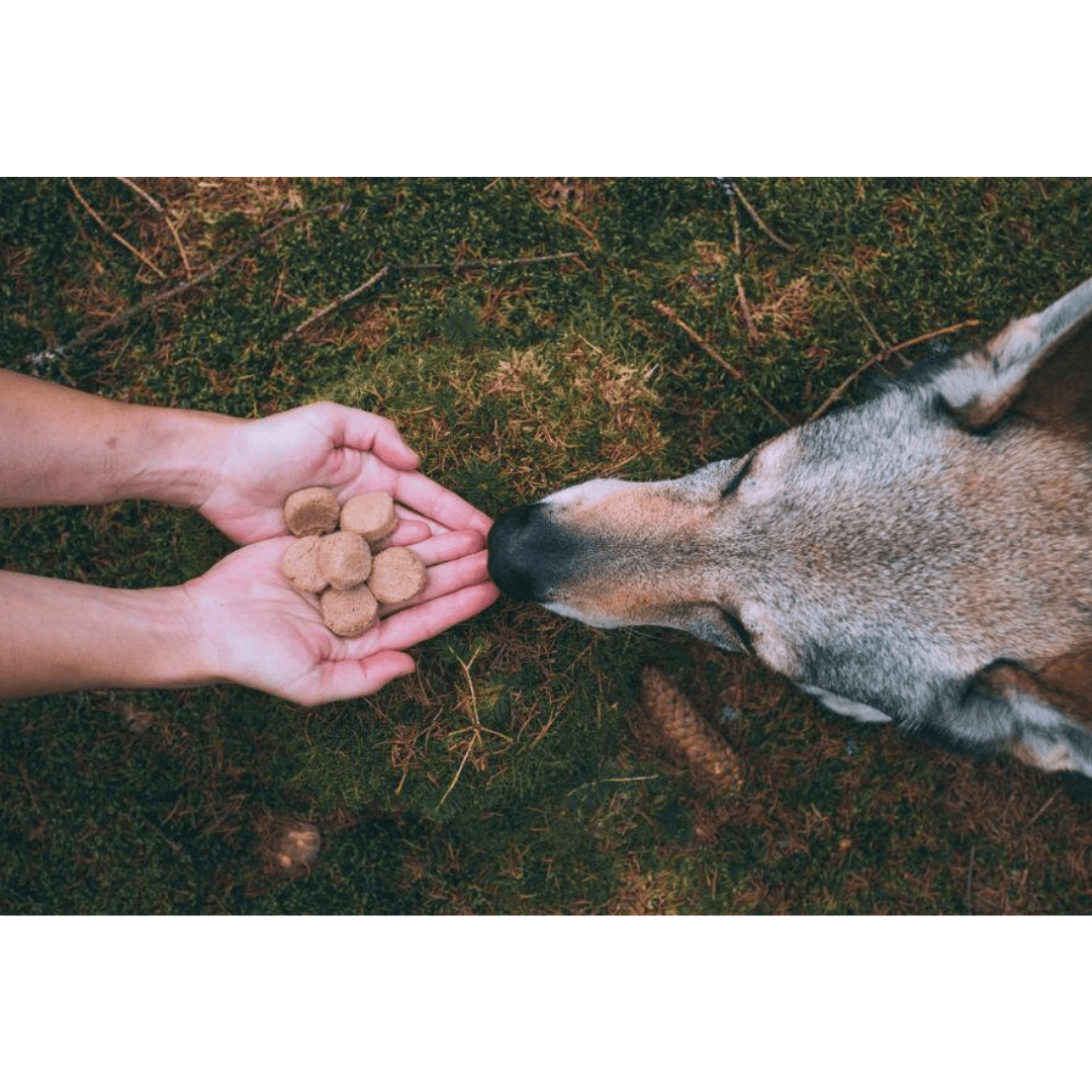 Carnilove Turkey Freeze-Dried Raw Dog Treats