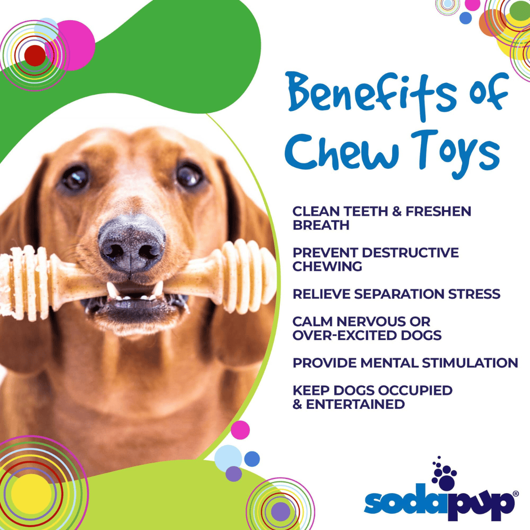 Dog chewing on a bone-shaped chew toy with text listing benefits of chew toys and SodaPup logo.