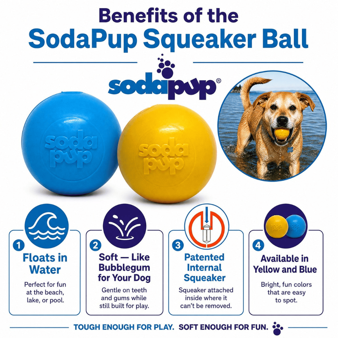SodaPup Squeak Ball