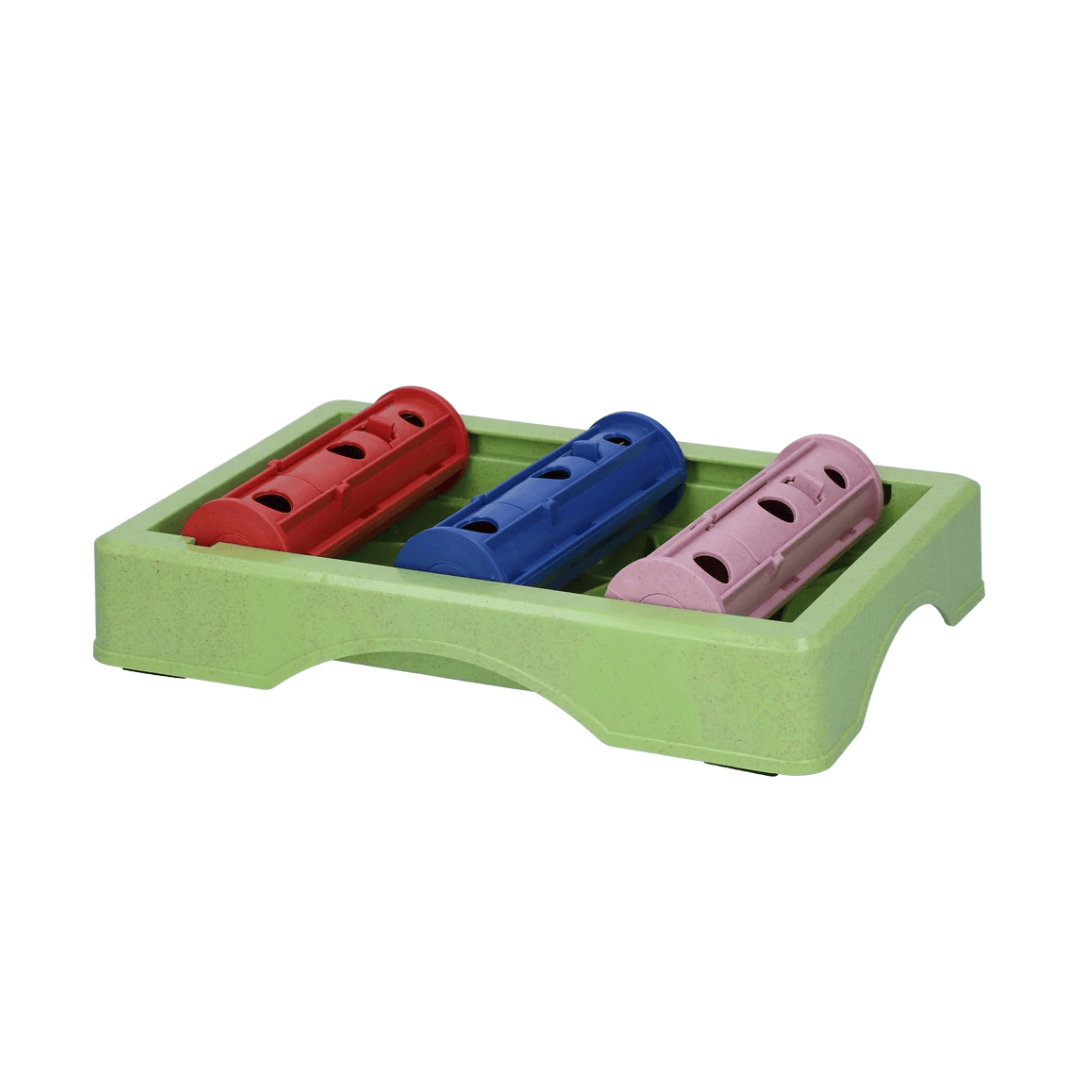 A green plastic dog puzzle feeder tray with three colorful cylindrical pieces, coloured red, blue, and pink. Each piece has holes to allow for food to be put in and out. The are on tracks to allow them to roll.