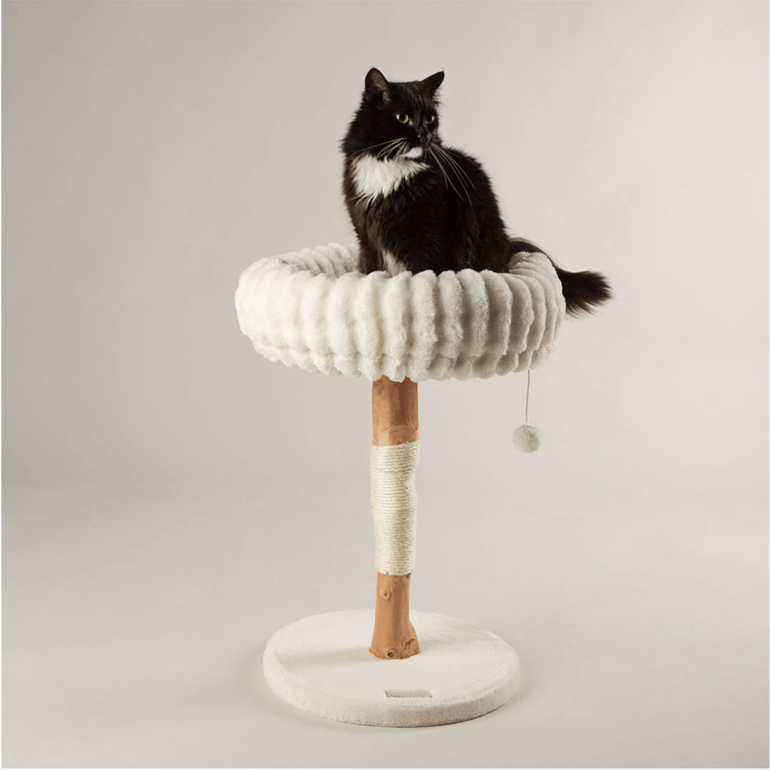 Scruffs Appalachians Cat Tree