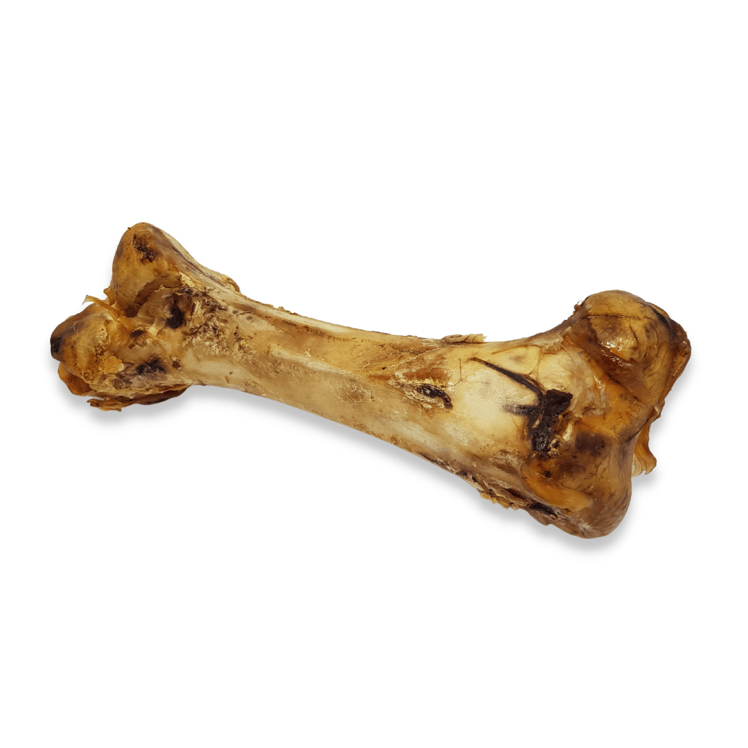 Ostrich Bone