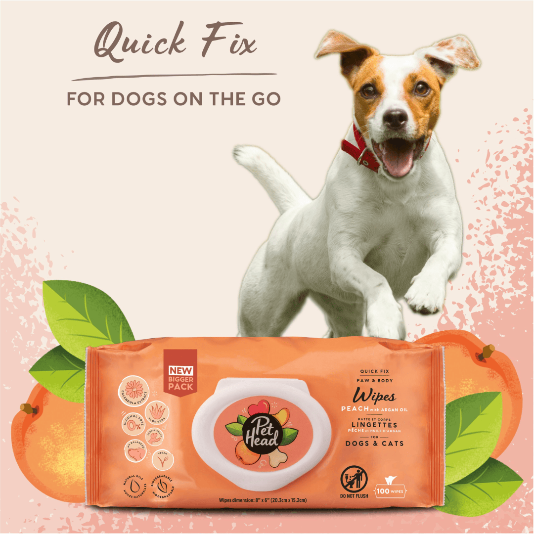 Dog wipes packaging with a dog on the go text and peach illustration